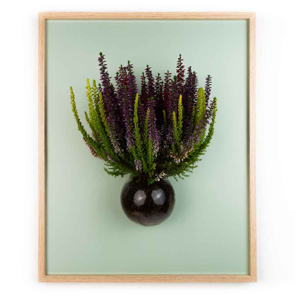 FrameArt - Komplettset